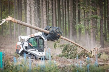 Mini track loader Bobcat T590E - 1